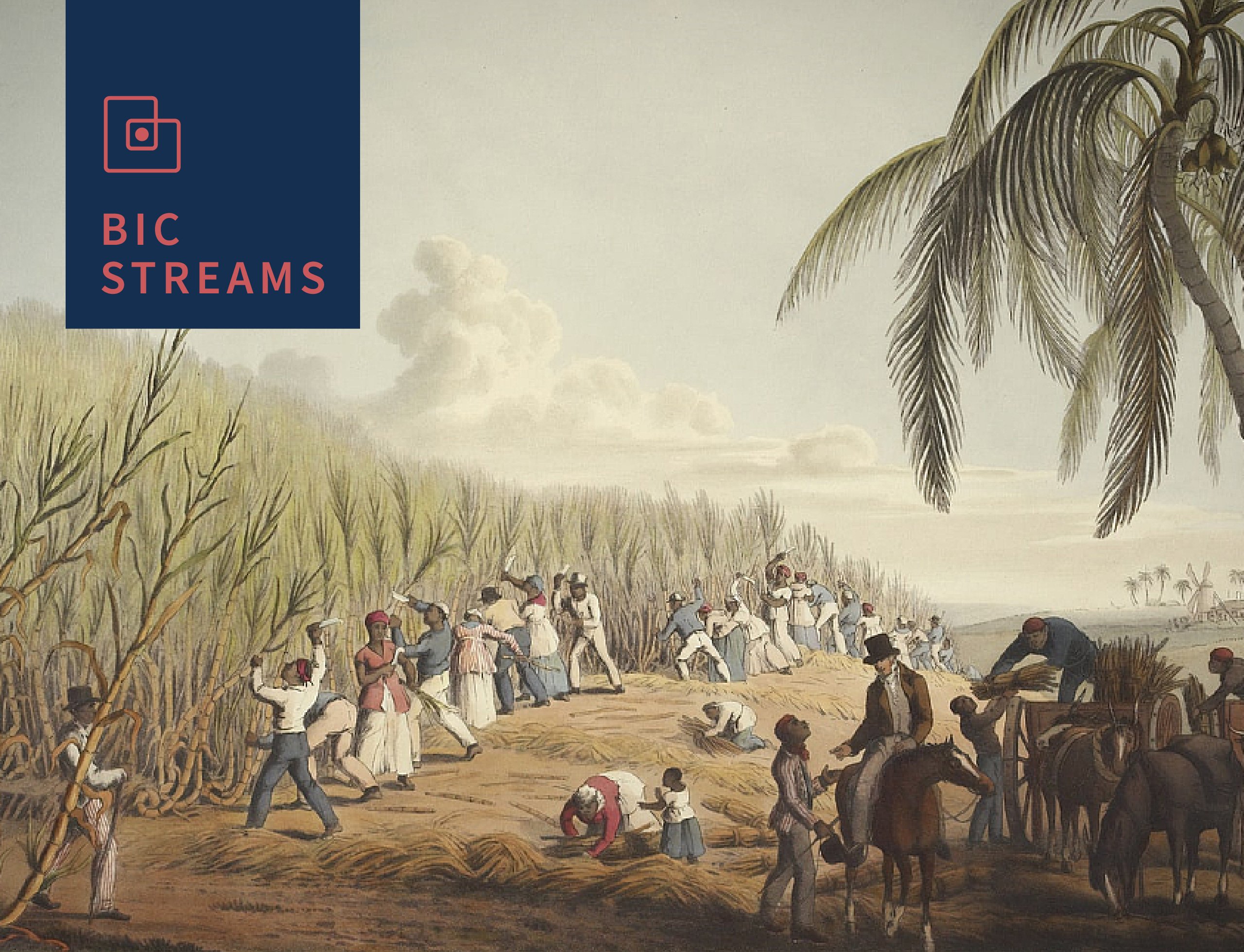 ‘Green Imperialism’ and After: Closing Phytopia - Bangalore ...
