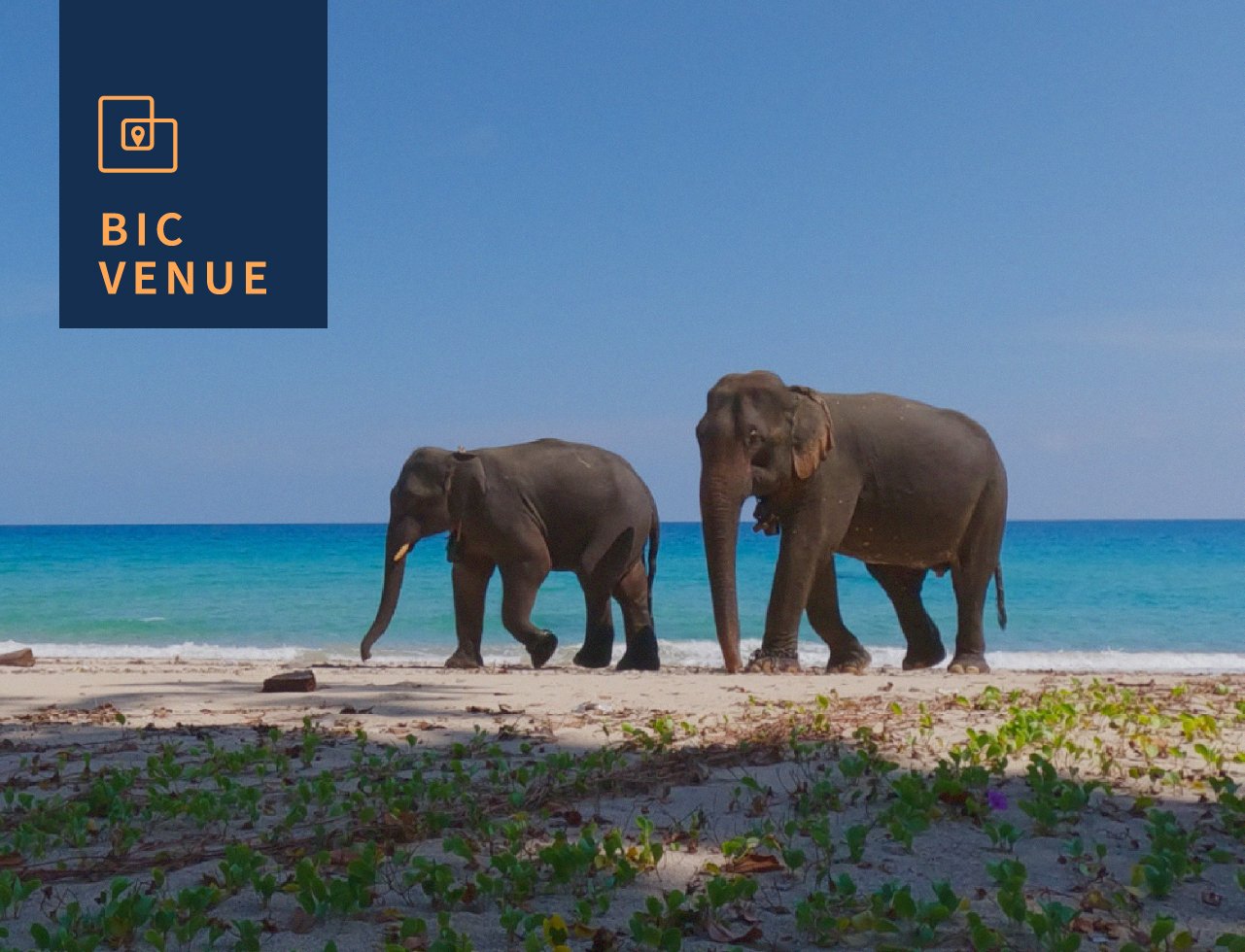 The Andaman Elephant Enigma - Bangalore International Centre