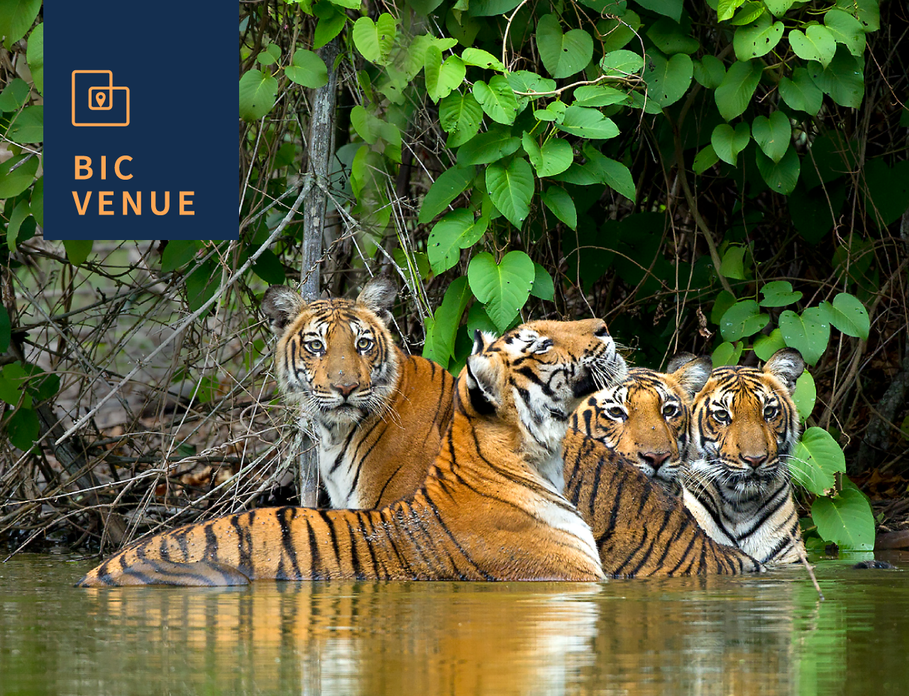 What Is Science-Based Wildlife Conservation? - Bangalore International ...